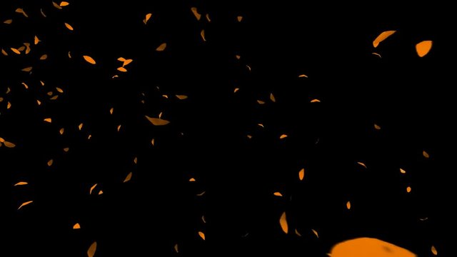 Autumn Leafs Flying, Alpha PNG