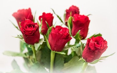 Beautiful bouquet of red roses full of love