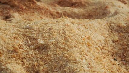 heap sawdust of forest work in the nature