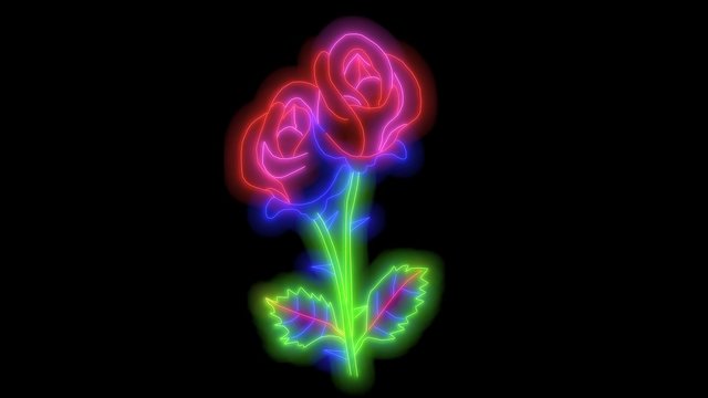 glowing flower illustrations