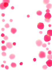 Pink rose petals falling vector valentine background.