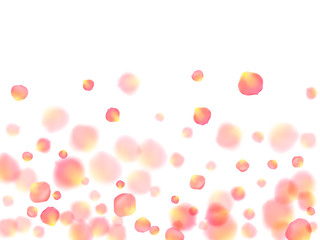 Rose gold petals flying cosmetics vector background.