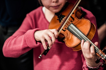 Fototapeta premium Violon-1