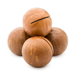 macadamia, nut, isolated on white background, clipping path, full depth of field