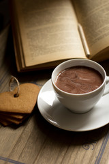 Cocoa drink, book, cinnamon and chocolate
