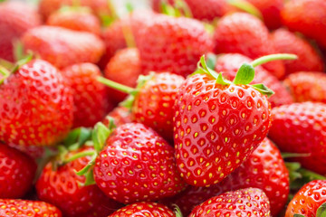 Fresh organic red ripe Strawberry fruit background closeup