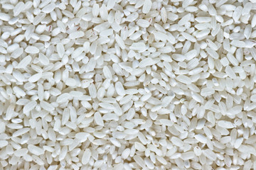 The texture of the round grain rice. Rice groats.