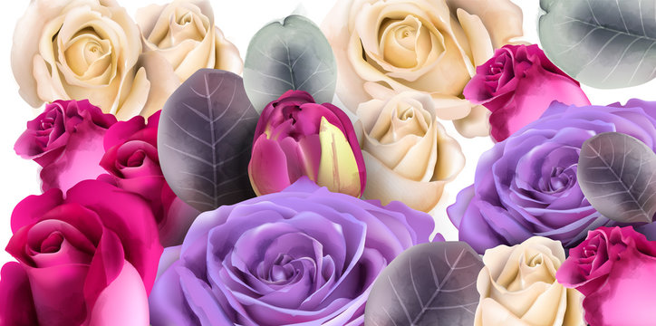 Purple roses bouquet Vector watercolor. Mother day background. Beautiful spring floral designs