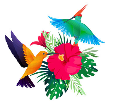 Tropical birds plants. Exotic colored background with parrots and hummingbirds sitting on leaves and flowers vector picture. Illustration of bird exotic with colored flower