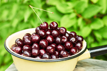 Sweet cherries in yellow colander on wooden table on nature background outdoors in the garden, close-up, copy space, eco gardening concept