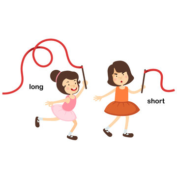 Opposite short and long vector illustration