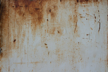 iron sheet in white paint with rusty spots
