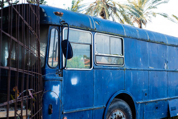 abandoned old blue bus 