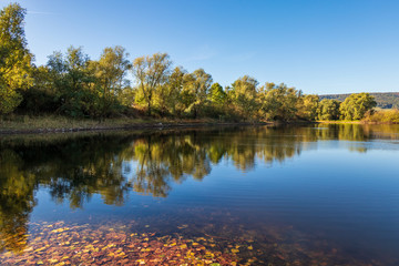 The autumn pond in sunlight, Germany