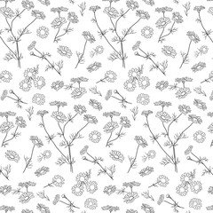 seamless chamomile pattern