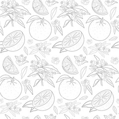 seamless orange pattern