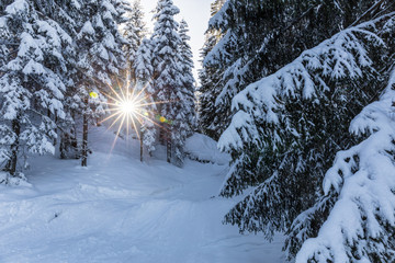 Winter Waldweg am Berg mit Sonne in der Früh