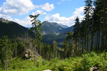 Tatry Zachodnie - widok ze szlaku na Grzesia © Ewa