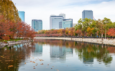 View from pond of Osaka castle to city