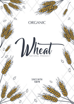 Bakery background with wheats. Linear graphic. Bread banner collection. Bread house. Vector illustration