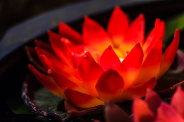 Beautiful Candle Aromatic made to resemble the lotus. Exotic Candle carved lotus shaped Floating on...