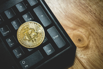 Bitcoin gold coin (cryptocurrency) on keyboard and us dollar - can use for financial and business background
