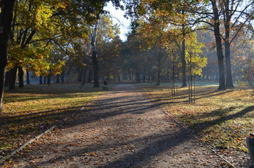 Jesienny poranek w parku, Park Wschodni, Wrocław