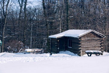 wooden house in the wood winter snow
