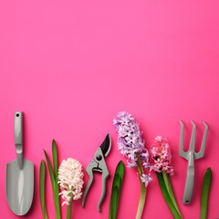 Garden pruner, rake, with flowers on pink punchy pastel background. Square crop with copy space. Spring, summer or garden concept. Creative layout. Top view, flat lay