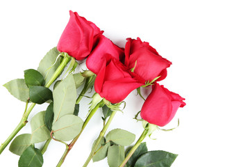 Bouquet of red roses isolated on white background