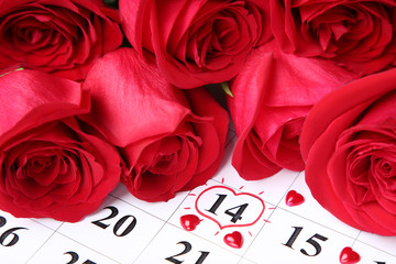 Bouquet of red roses with paper february calendar