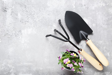 Garden tools and flowers in bucket on grey wooden table