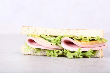 Sandwich with ham, cheese and vegetables on grey background