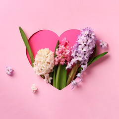 Hyacinth flowers in hole in heart shaped form over pink punchy pastel background. Top view, flat...