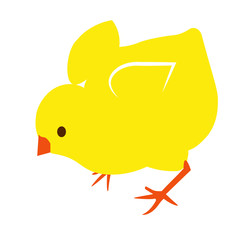 cute spring yellow vector little easter chick