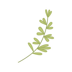 branch with leaf isolated icon