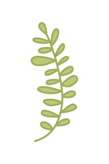 branch with leaf isolated icon