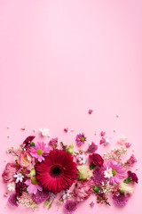 Spring composition of pink flowers on punchy pastel background with copy space. Creative layout. Flat lay. Top view. Summer minimal concept.