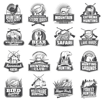 Hunting sport ammo, hunter animals trophy icons
