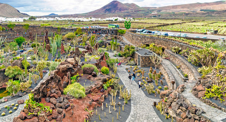 Aerial View of Guatiza from Cactus Garden