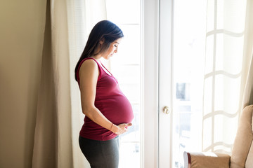 Profile view of a beautiful pregnant woman at home