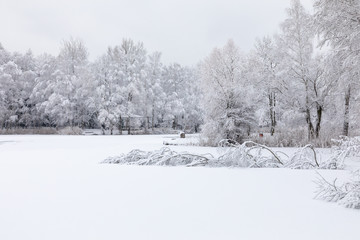 Obraz premium Wiinter beautiful landscape with trees covered with hoarfrost and snow.