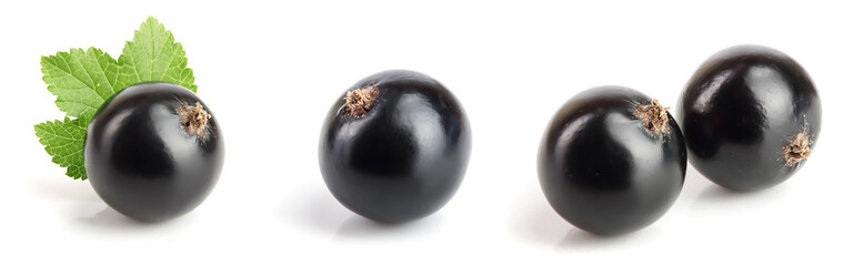 black currant with leaf isolated on white background. Set or collection