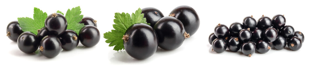 black currant with leaf isolated on white background. Set or collection