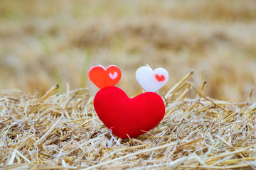 A liitle red heart pillow and two little heart candles on rice straw in paddy field.