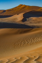 Fototapeta na wymiar Sossusvlei Dunes at Sunset