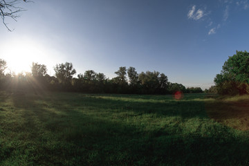 Evening summer landscape on the pond