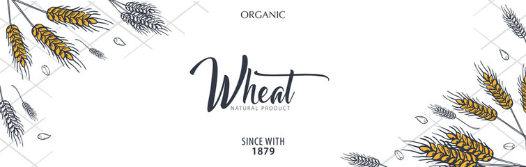 Bakery background with wheats. Linear graphic. Bread banner collection. Bread house. Vector illustration