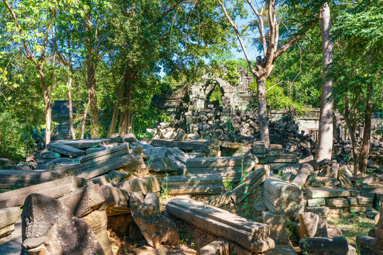 「ベンメリア」の写真素材 756件の無料イラスト画像 Adobe Stock