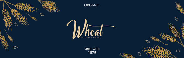 Bakery background with wheats. Linear graphic. Bread banner collection. Bread house. Vector illustration